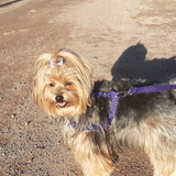 Katiane Kruger Montelli