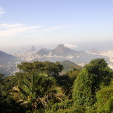 Nilcilea Braga caetano Silva