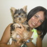 Claudia Almeida Cerqueira