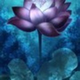 Suelen Nogueira de Assis