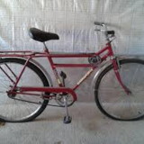 claudia neide de melo brasil