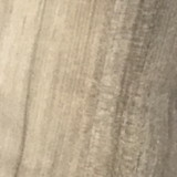 Débora Barreiros de Souza Trevelin