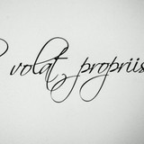 Vanuza Bauer de Matos