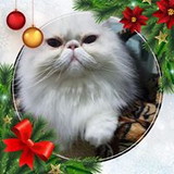 Mirian Lourenço da Silva Lopes