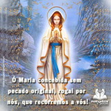 Camila Pires Cabelo Menegucci