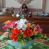 ANGELA CRISTINA PERO