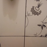 Dayara de Lima Vilas Boas