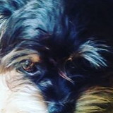 Sergio Alves Dos Santos