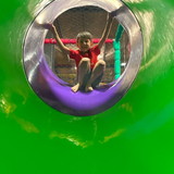 Francine Alessandra Ridal