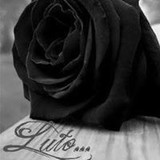 THAYNA ANTUNES DOS SANTOS