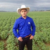 roberta de freitas santos