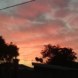 alessandra dos anjos