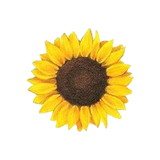 Ir para o perfil do usuário