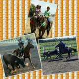 Militão Nogueira de Souza Filho