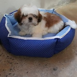 Daniela Barreiro Alves