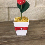 Juliana Aparecida de souza Araújo