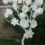 barbara correia da silva