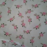 Solange Vieira Gulhotti