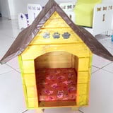 Joanis de Jesus Rodrigues