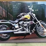 Quadro Canvas  digital