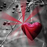 Claudia Novato Campos