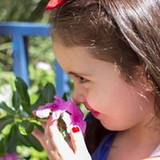 Franciane Castro Dos Santos