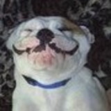 Aline Michele Ferrari