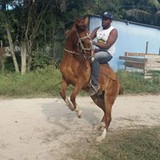 Luis Adriano Sampaio Dos Santos