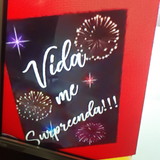 Ana Paula Silva Zupo