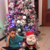 Edna de Oliveira Freitas