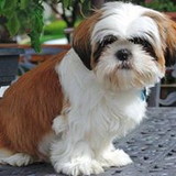 Ana Célia da Silva Aragão