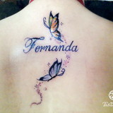 Fernanda Cardoso Santos