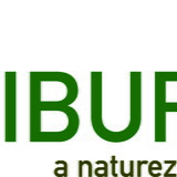 ASSOCIAÇÃO A NATUREZA DO ENSINO
