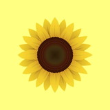 Carla de Oliveira Almeida