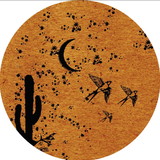 excluido_Percatas Luar do Sertão