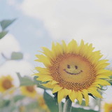 angélica laurentino batista