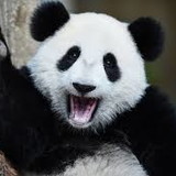 Fátima Aparecida Fragosso