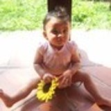 priscila vieira sobreira