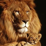 Imaginário Personalizados