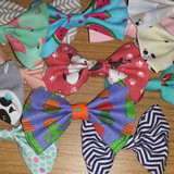 Ana Paula Horta barbosa