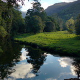 Ana Maria Rezende Amorim