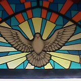 CINIRA GIANESI DA COSTA CEZAR