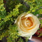 Betânia Souza De Roma