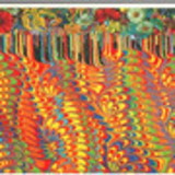 Carin Jacqueline Brender