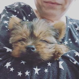 Ingrid vasques ribeiro