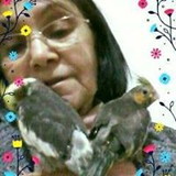 Clarice Nóbrega da Paixão