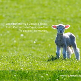 maria madalena costa de souza