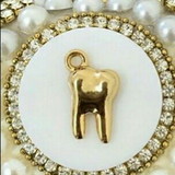 Paloma Carneiro Lucinda da Silva