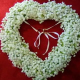 Lúcia Ferreira do Nascimento