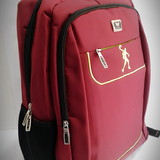 josenilton ferrreira dos santos